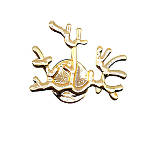 PIN'S GOLD & SILVER