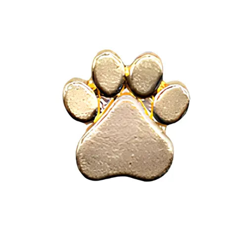 PIN'S GOLD & SILVER