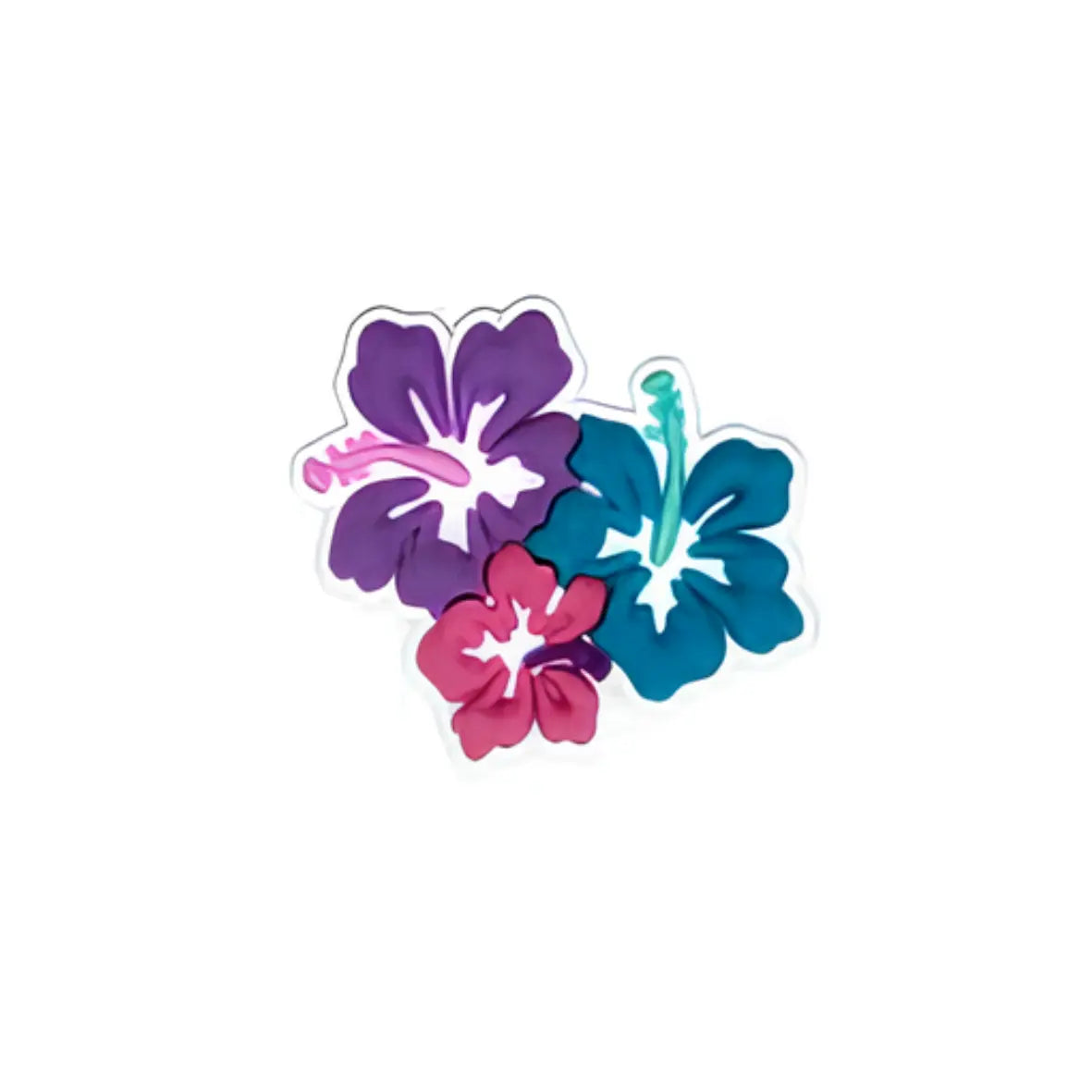 PIN'S HAWAÎ