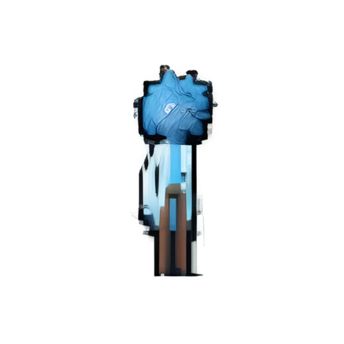 PIN'S RICK & MORTY