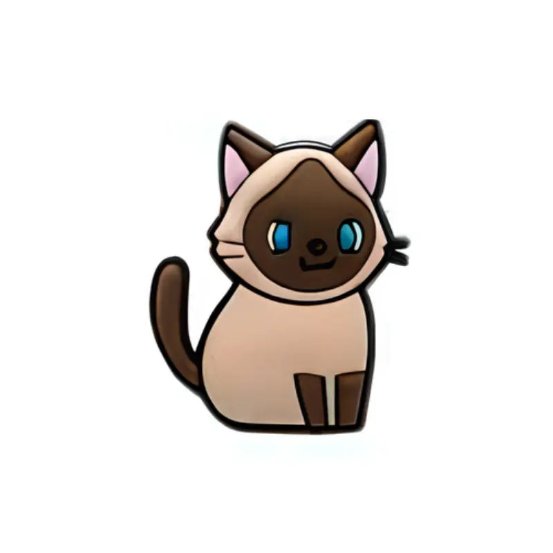 PIN'S CHATS