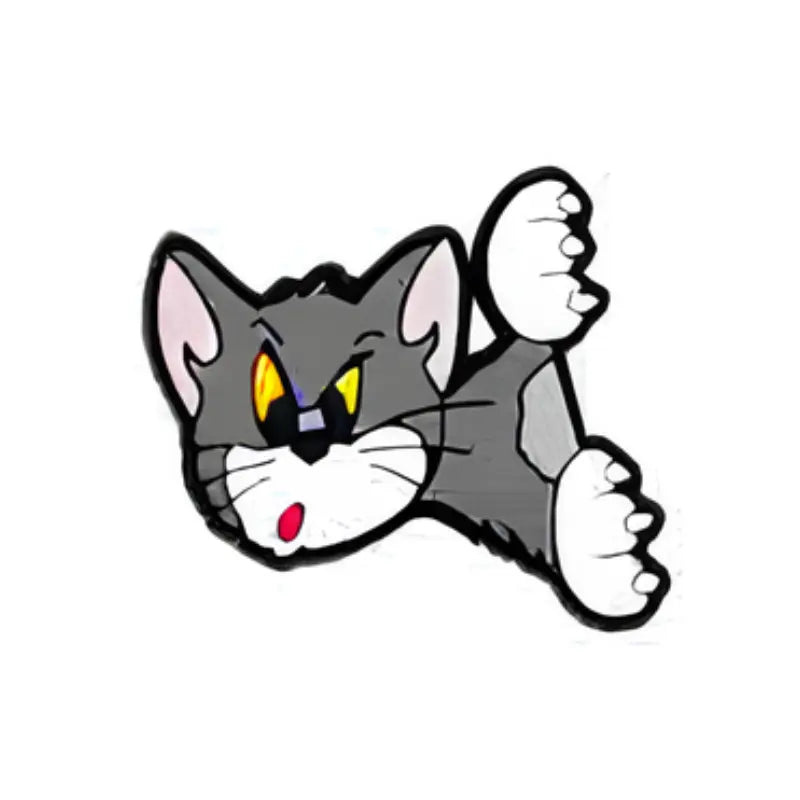 PIN'S TOM & JERRYS